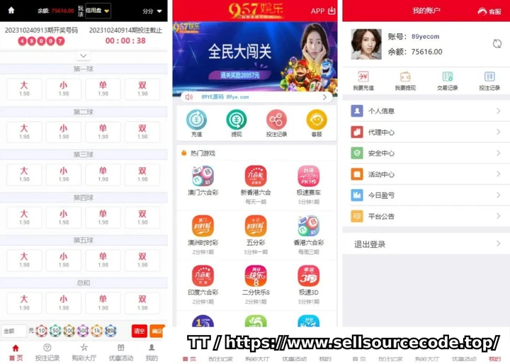 大富二开彩票源码,大富BC源码,六合彩+控制,源码免费下载